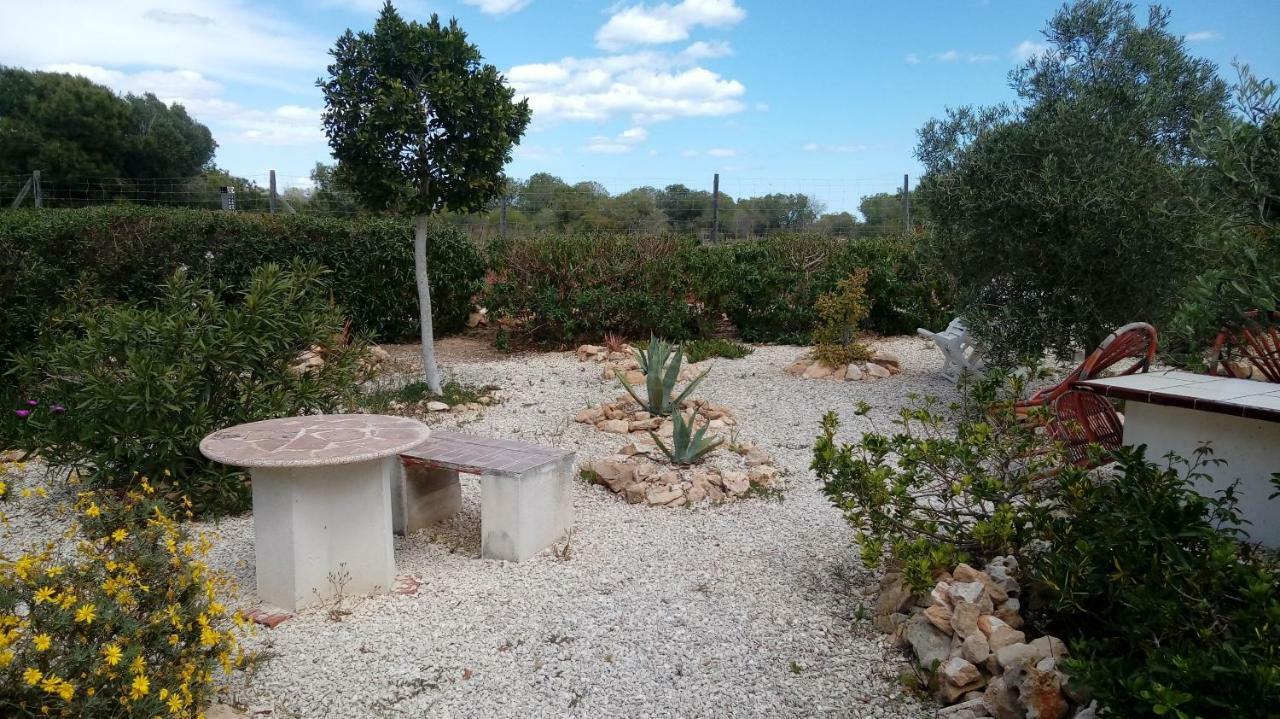 Apartment Laguna Torrevieja Zewnętrze zdjęcie